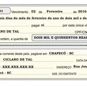 características e diferenças de cheques, duplicatas e notas promissórias.